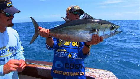 flying fish|Offshore .